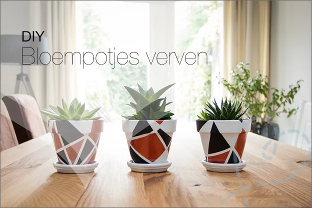 DIY #33: Bloempotjes verven