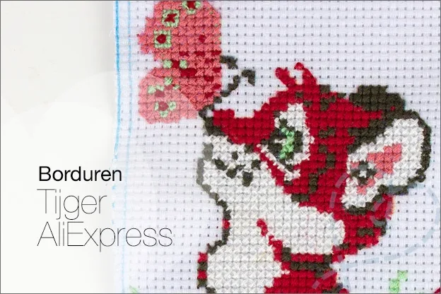 Borduren #1: Compleet borduurset Tijger AliExpress