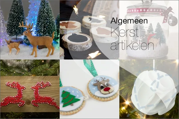 Overzicht: Artikelen speciaal voor kerst
