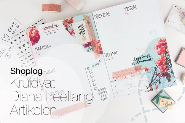 Shoplog & Inspiratie: Kruidvat Nieuwe Diana Leeflang artikelen