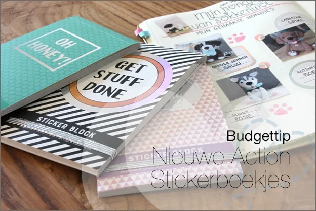 Budgettip: Nieuwe Action Stickerboekjes voor volwassenen