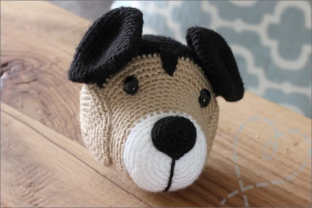 Haken jack russel Noa hoofd snuit neus oren