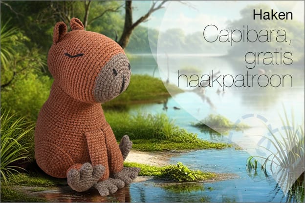 Haken gratis haakpatroon capibara nederlands