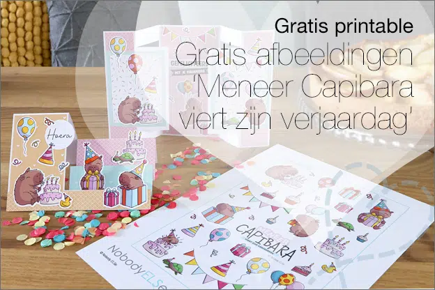 Gratis Printable #29: Afbeeldingen van ‘Meneer Capibara viert zijn verjaardag’