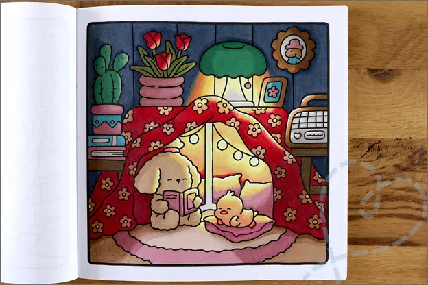 Kleuren voor volwassenen Coco Wyo kleurboek licht donker uitleg