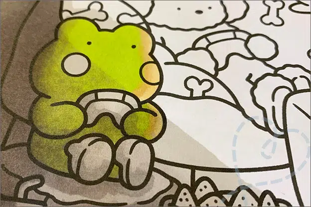 Kleuren voor volwassenen uiteg schaduwen alcoholmarkers