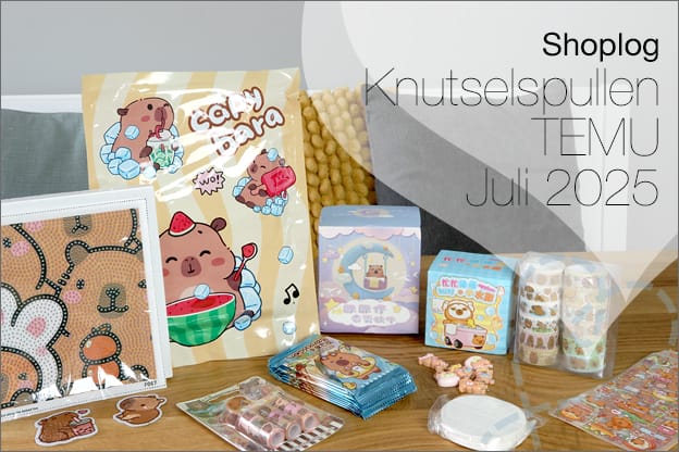Shoplog: Temu, diverse knutselspullen, juli 2025