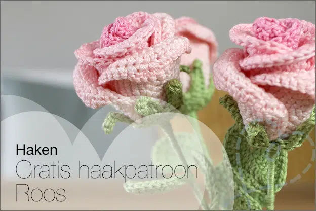 Haken #266: De bloem Roos, GRATIS haakpatroon