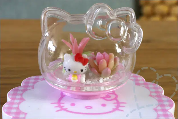 Reveiw MiniVerse Hello Kitty terrarium